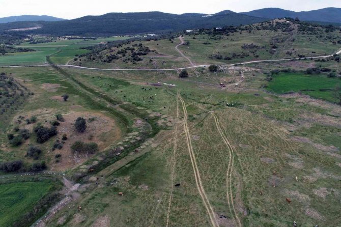 Küdür Yarımadasında Mera Islah Proje Çalışması