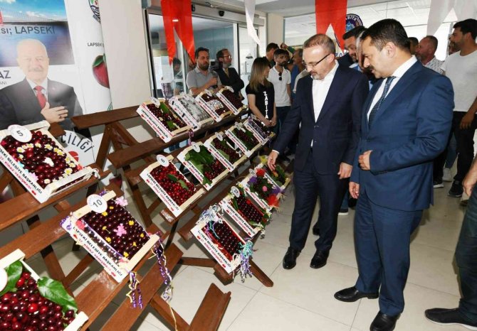 Lapseki’de 37’inci Kez Kirazlar Yarıştı