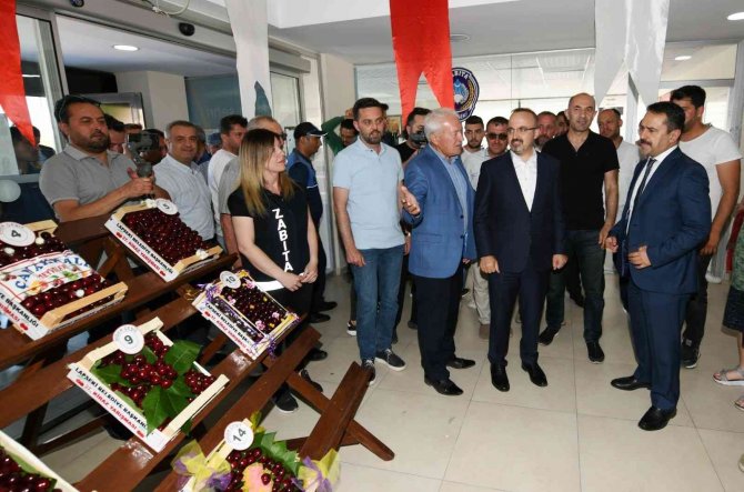 Lapseki’de 37’inci Kez Kirazlar Yarıştı