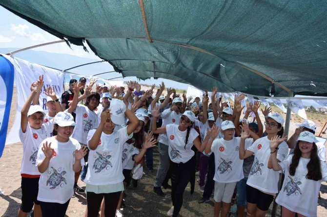 Akdeniz’deki Ekosistemin Kalbi: Caretta Carettalar