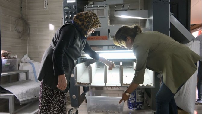 Kadın Girişimciler Fındığa Katma Değer Katıyor