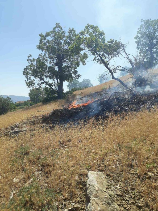 Bingöl’de Orman Yangını Büyümeden Söndürüldü