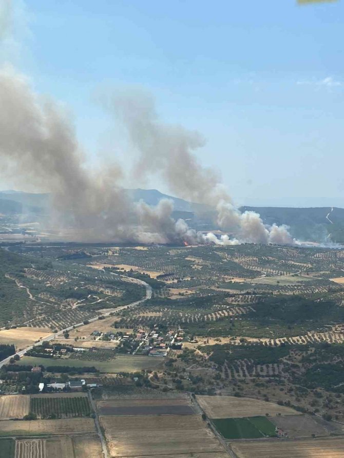 Foça’da Orman Yangını