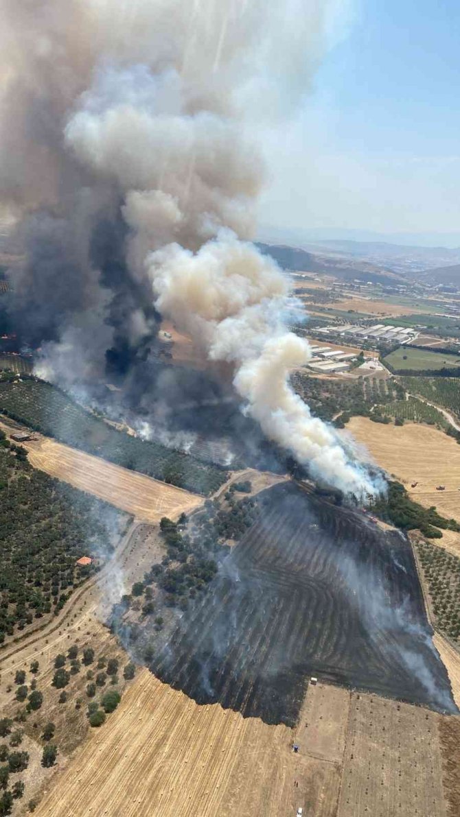 Foça’da Orman Yangını