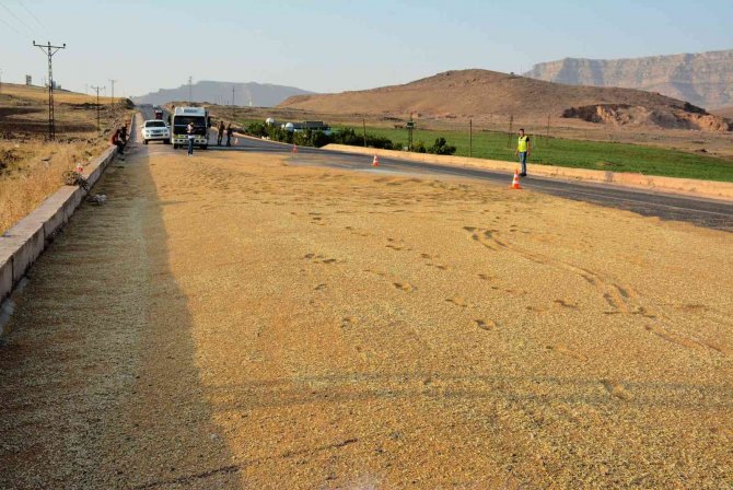 Mardin’de Kamyon Devrildi, Tonlarca Buğday Yola Döküldü