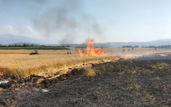 Osmaniye’de 10 Dönüm Buğday Tarlası Yandı