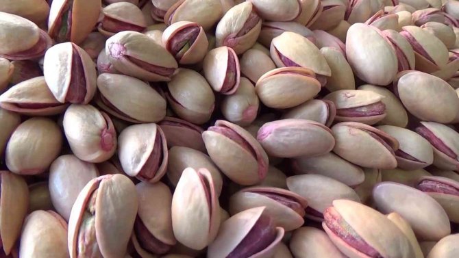 İ̇ran’dan Getirilen Fıstıklar Siirt Fıstığının Kalitesini Düşürdü