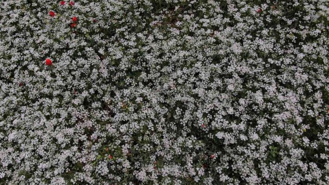 Sivas’ta Kış Günlerini Aratmayan Görüntü