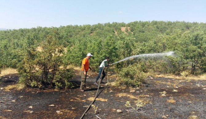 Bingöl’de Çıkan Orman Yangını Söndürüldü