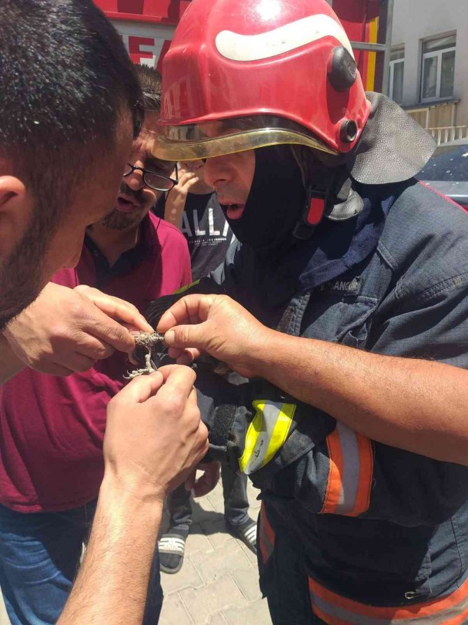 Bingöl’de Çatıda İpe Dolanan Karga Kurtarıldı