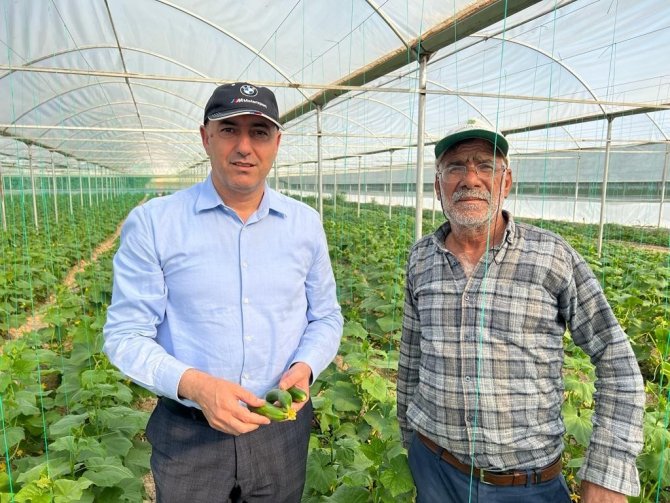 Bozova Belediyesi Seralarında İlk Hasat Başladı