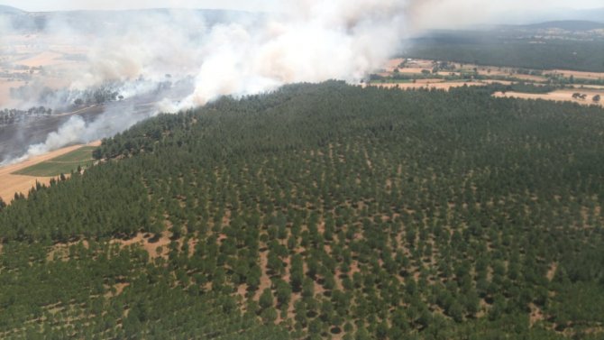 Çanakkale’de Ziraat Yangını Ormana Sıçradı