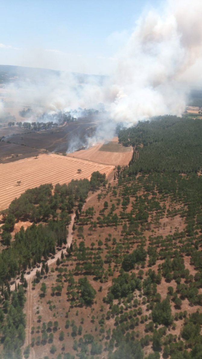Çanakkale’de Ziraat Yangını Ormana Sıçradı