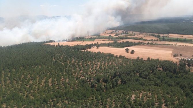 Çanakkale’de Ziraat Yangını Ormana Sıçradı