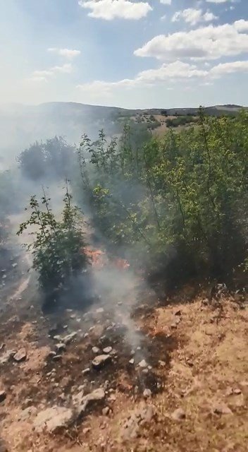 Ezine’de Ziraat Ve Orman Yangını