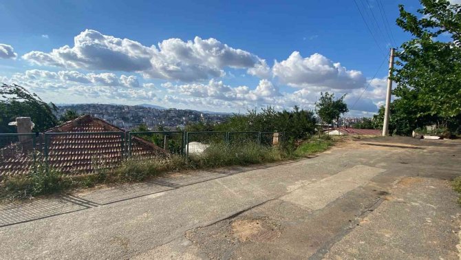 Meyve Toplamak İçin Çıktığı Ağaçtan Düşen Kadın Yaralandı
