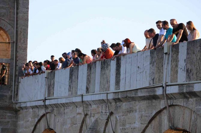 Tunca Köprüsü’nde Halatla Kedi Kurtarma Operasyonu
