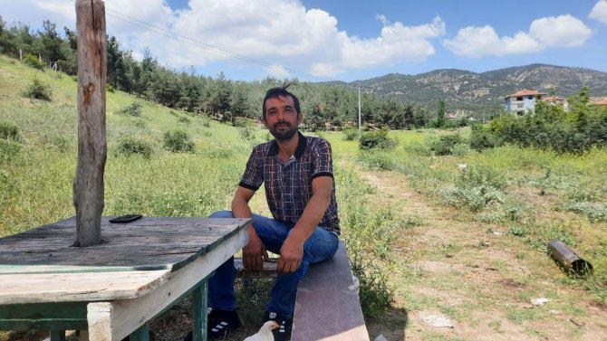 Osmancık’ın Güvercin Sevdalıları Onlara Çocuk Gibi Bakıyor