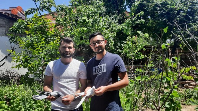 Osmancık’ın Güvercin Sevdalıları Onlara Çocuk Gibi Bakıyor