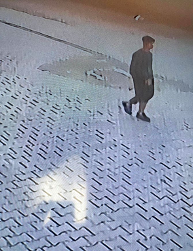 Ev Ahalisi Uykuda, Hırsız İş Başında