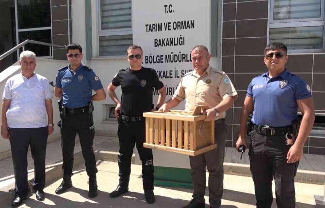 Polis, Annesiz Kalan İki Yavru Kargaya Sahip Çıktı