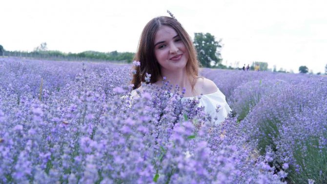 Lavanta Tarlaları Doğal Stüdyoya Döndü, Fotoğraf Çektirmek İçin Akın Ettiler