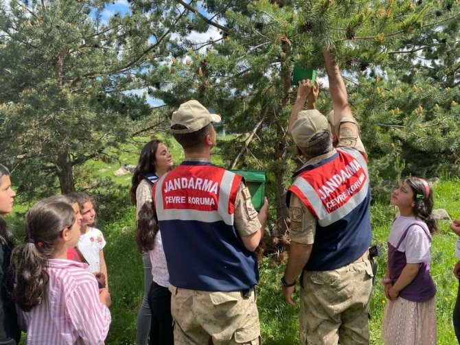 Ormanlara Kuş Yuvası Asıldı