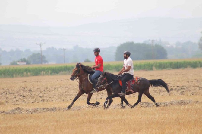 Osmaniye’de Rahvan At Yarışları Nefes Kesti