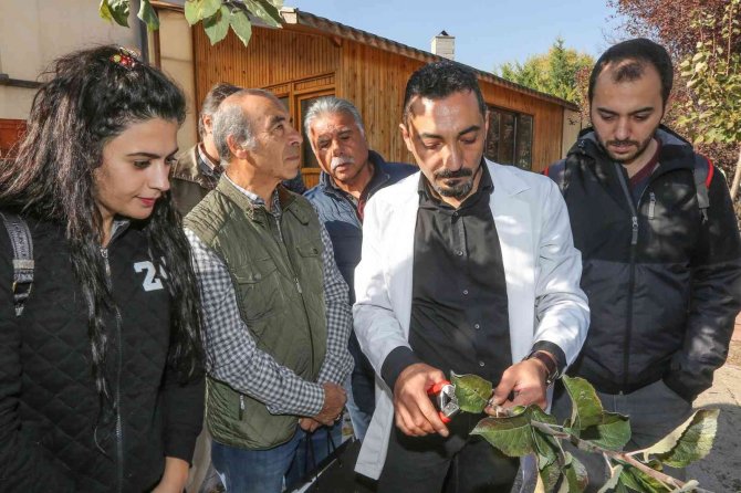 Yenimahalle’de Bahçecilik Kursu Başladı