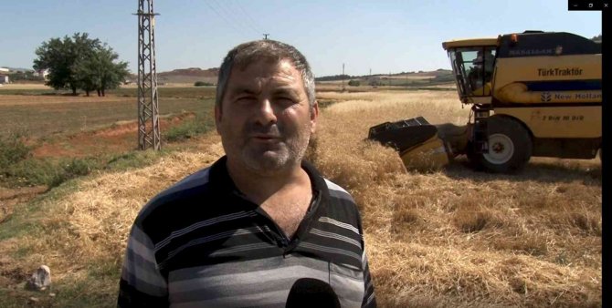 Kahramanmaraş’ta Buğday Hasadı Başladı