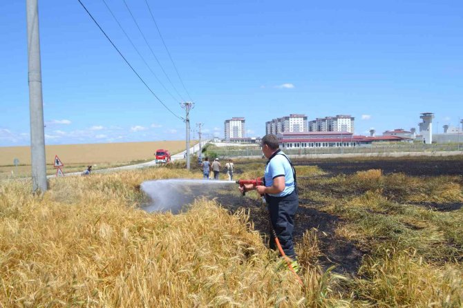 Sigara İzmariti 50 Dönüm Buğdayı 10 Dakikada Küle Çevirdi