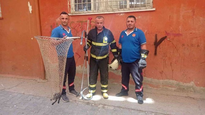 Havalandırma Boşluğuna Düşen Yavru Kedi İtfaiye Ekiplerince Kurtarıldı