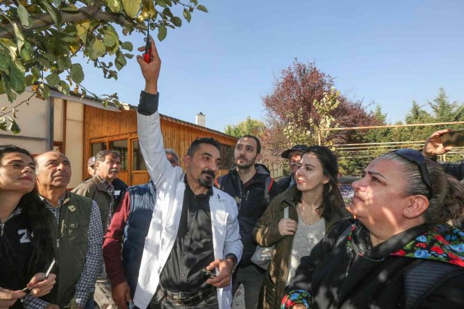 Yenimahalle’de Bahçecilik Kursu Başladı