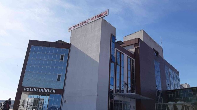 Ihlamur Ağacından Düşen Adam Hayatını Kaybetti
