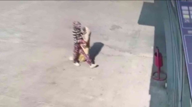 At Arabalı Hırsızların Rahatlığı Kameralara Yansıdı