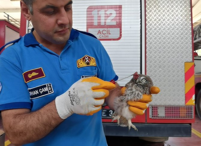 Havalandırma Boşluğuna Düşen Yavru Baykuşu İtfaiye Kurtardı