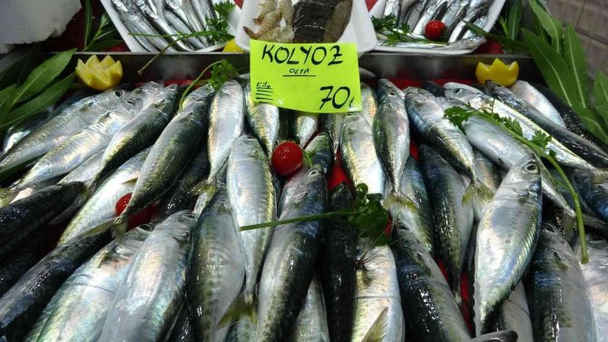 Çanakkale’de Balık Tezgahlarında Fiyatlar Arttı