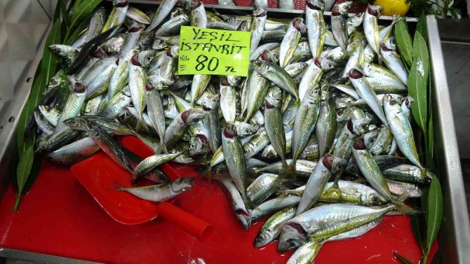 Çanakkale’de Balık Tezgahlarında Fiyatlar Arttı