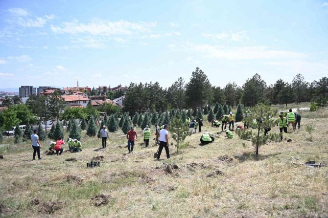 Engelli Öğrenciler 200 Fidanı Toprakla Buluşturdu