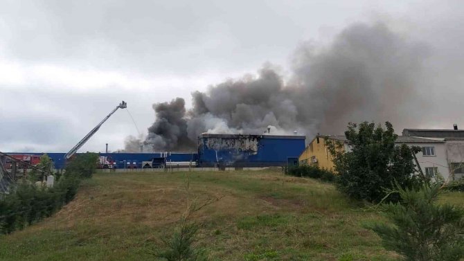 Kocaeli’de Kimya Fabrikasında Büyük Yangın