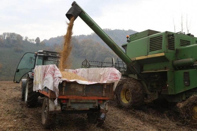 Ordu’da 18 Bin Dönüm Arazi Tarıma Kazandırıldı