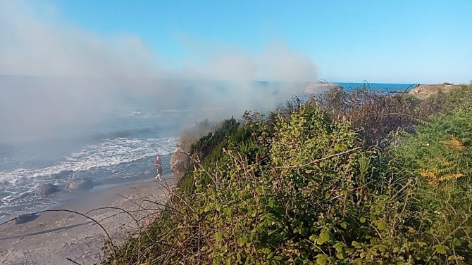 Ordu’da Örtü Yangını