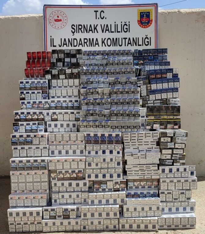 Şırnak’ta Kaçakçılık Ve Asayiş Operasyonu: 51 Gözaltı
