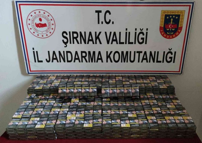 Şırnak’ta Kaçakçılık Ve Asayiş Operasyonu: 51 Gözaltı