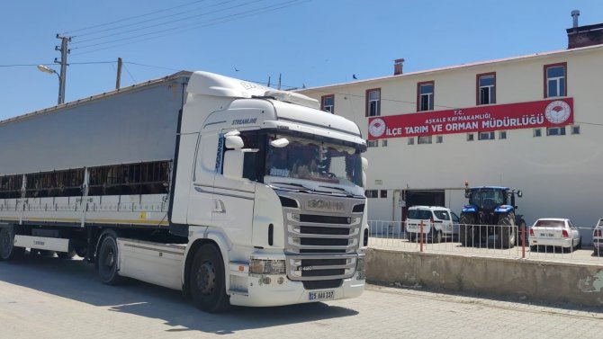 Doğu’dan Batı İllerine Kurbanlık Sevkiyatı Başladı
