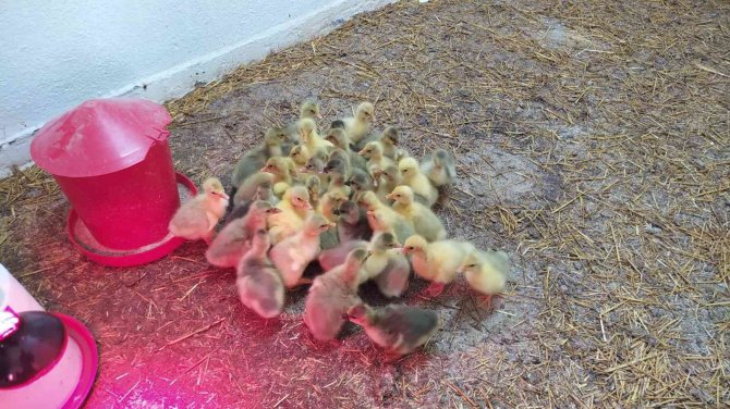 Eski Cezaevi Dar Gelirliler İçin İstihdam Kapısı Oldu