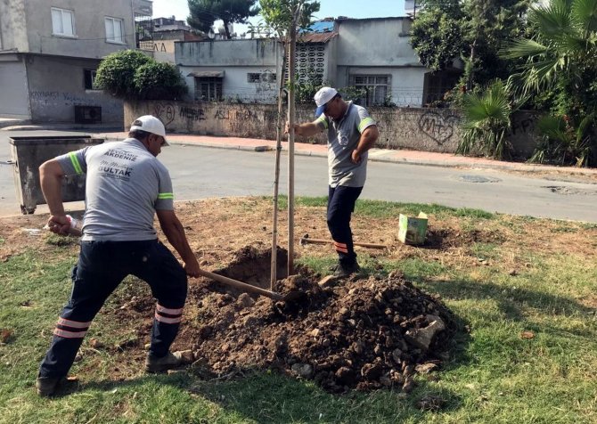 Akdeniz’de Park Ve Yeşil Alanlar Yenileniyor