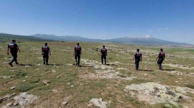 Defineciler Jandarmaya Suçüstü Yakalandı