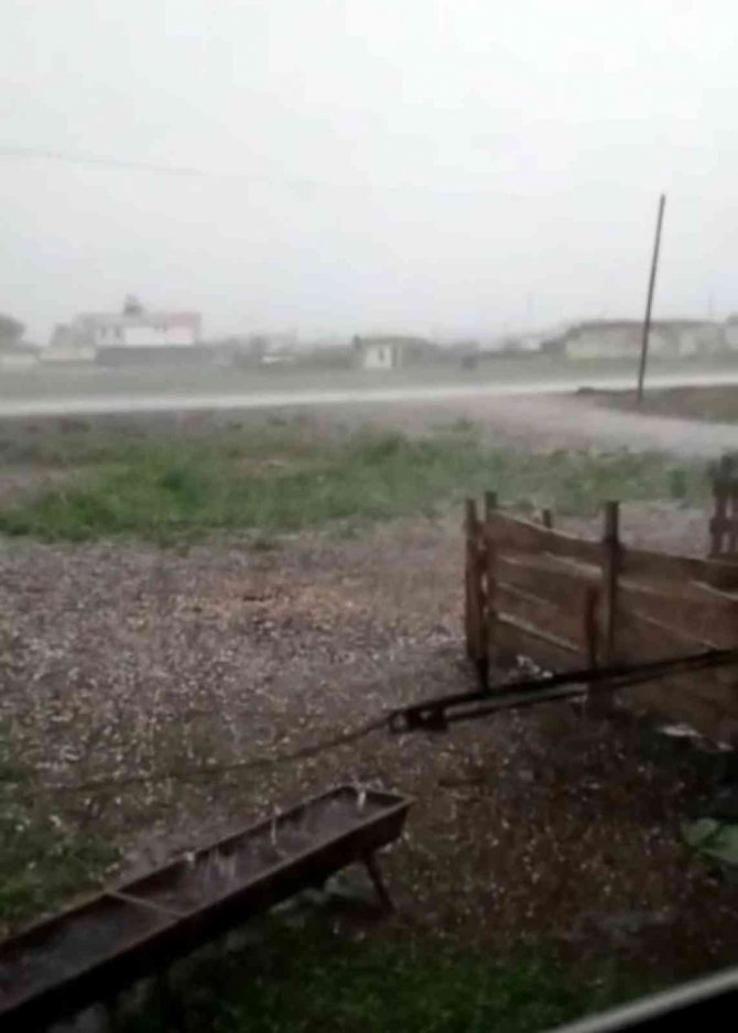 Ardahan’da Dolu Tarım Arazilerine Zarar Verdi
