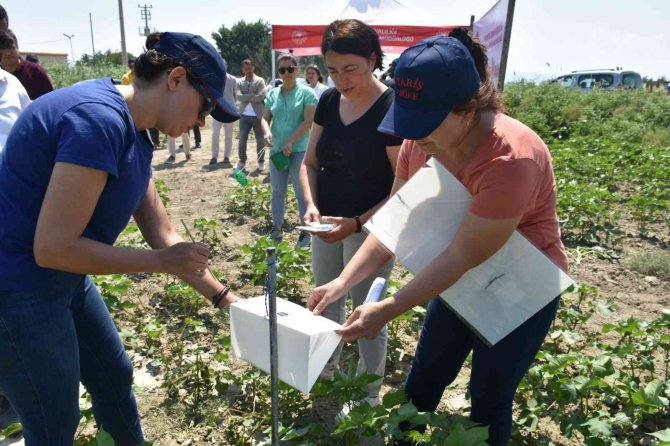 Aydın’da “Doğadan Modaya Organik Pamuk” Projesine Başlandı